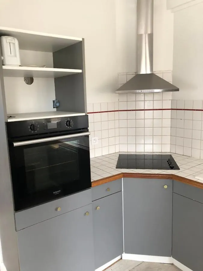 Appartement Cosy Et Lumineux Caussens