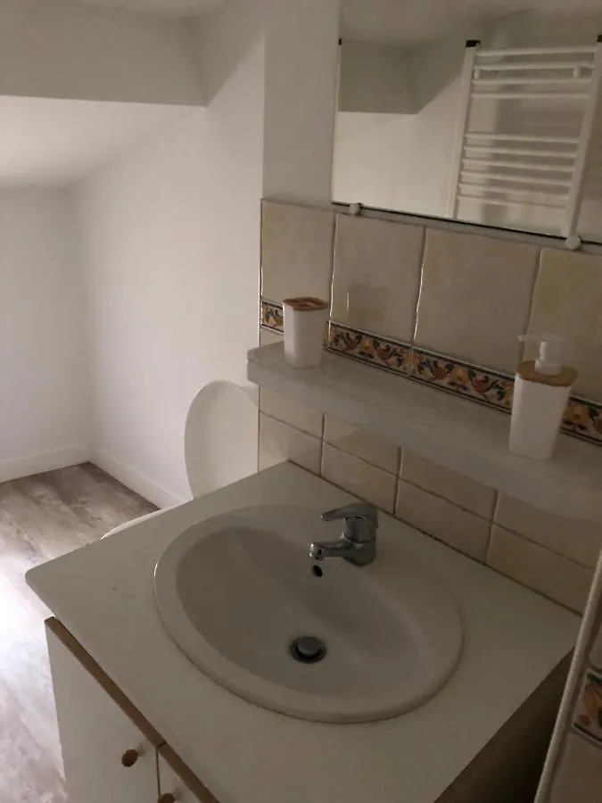 Appartement Cosy Et Lumineux Caussens