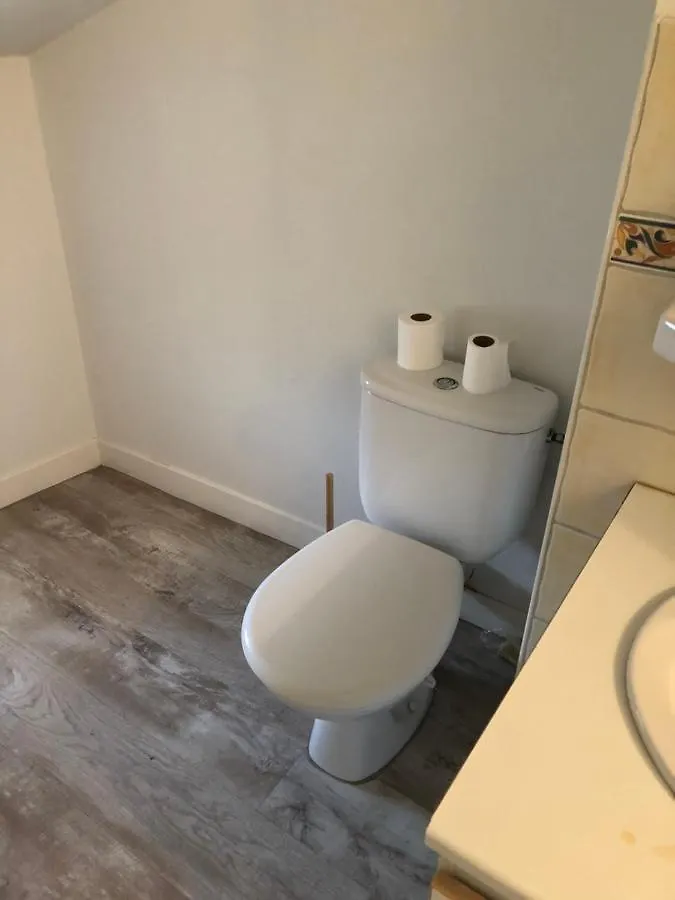 Appartement Cosy Et Lumineux Caussens
